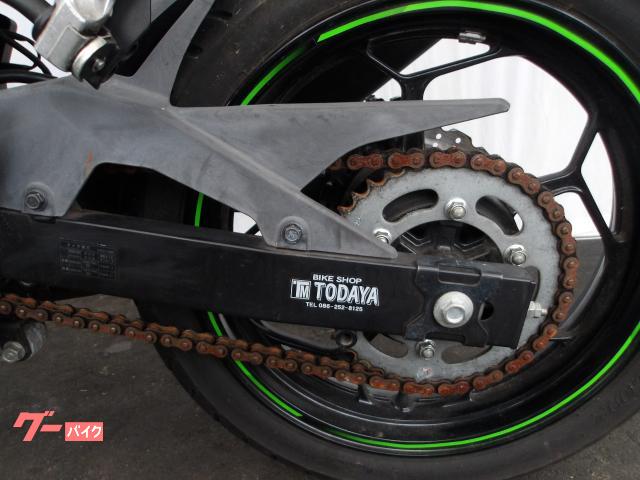 カワサキ Ｎｉｎｊａ　２５０ＳＬ　２０１５年モデル　純正スペアキー　インジェクション　水冷単筒エンジン搭載 写真38