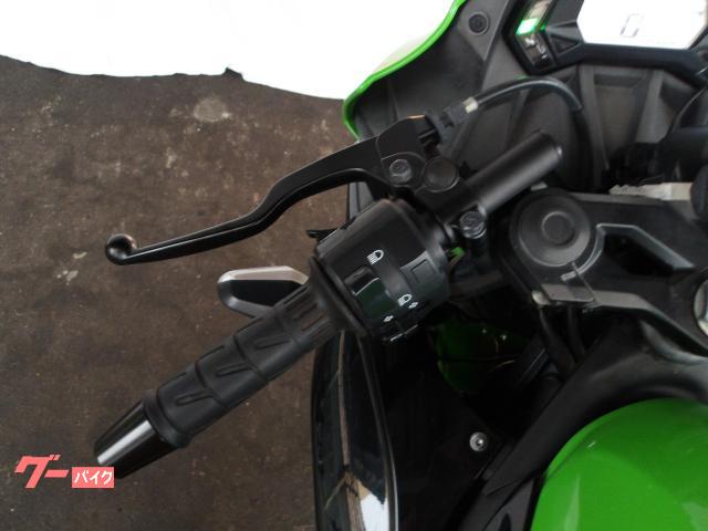 カワサキ Ｎｉｎｊａ　２５０ＳＬ　２０１５年モデル　純正スペアキー　インジェクション　水冷単筒エンジン搭載 写真41
