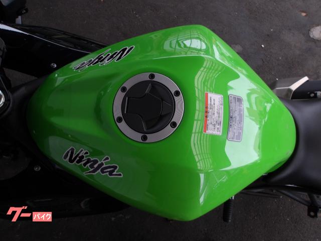 カワサキ Ｎｉｎｊａ　２５０ＳＬ　２０１５年モデル　純正スペアキー　インジェクション　水冷単筒エンジン搭載 写真43