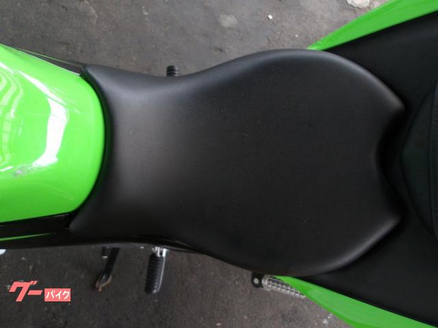 カワサキ Ｎｉｎｊａ　２５０ＳＬ　２０１５年モデル　純正スペアキー　インジェクション　水冷単筒エンジン搭載 写真45