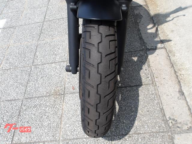 カワサキ エリミネーター４００ＳＥ　２０２４年モデル　ＡＢＳ　ＥＴＣ　純正スペアキー　インジェクション　水冷２気筒エンジン搭載 写真28