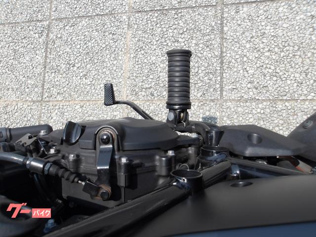 カワサキ エリミネーター４００ＳＥ　２０２４年モデル　ＡＢＳ　ＥＴＣ　純正スペアキー　インジェクション　水冷２気筒エンジン搭載 写真52