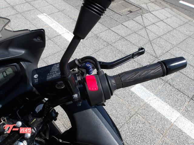 スズキ ＧＳＲ２５０Ｆ　２０１５年モデル　純正スペアキー　インジェクション　水冷２気筒エンジン搭載 写真46