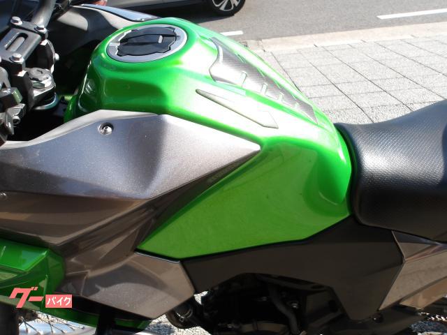 カワサキ ＶＥＲＳＹＳーＸ　２５０　２０１７年モデル　インジェクション　水冷２気筒エンジン搭載 写真32