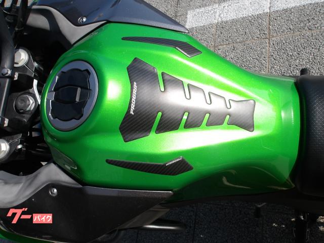 カワサキ ＶＥＲＳＹＳーＸ　２５０　２０１７年モデル　インジェクション　水冷２気筒エンジン搭載 写真47
