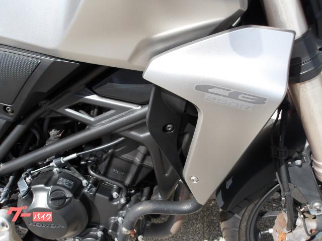 ホンダ ＣＢ２５０Ｒ　２０１９年モデル　インジェクション　水冷単気筒エンジン 写真8