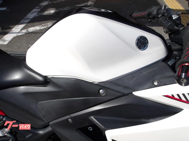 ヤマハ ＹＺＦ−Ｒ２５　２０１６年モデル　アクラボサイレンサー　インジェクション　水冷２気筒エンジン搭載 写真8