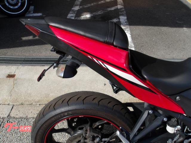 ヤマハ ＹＺＦ−Ｒ２５　２０１６年モデル　アクラボサイレンサー　インジェクション　水冷２気筒エンジン搭載 写真10