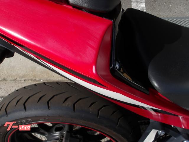 ヤマハ ＹＺＦ−Ｒ２５　２０１６年モデル　アクラボサイレンサー　インジェクション　水冷２気筒エンジン搭載 写真11