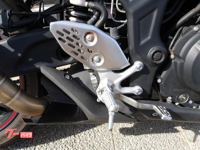 ヤマハ ＹＺＦ−Ｒ２５　２０１６年モデル　アクラボサイレンサー　インジェクション　水冷２気筒エンジン搭載 写真15