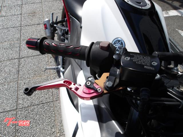 ヤマハ ＹＺＦ−Ｒ２５　２０１６年モデル　アクラボサイレンサー　インジェクション　水冷２気筒エンジン搭載 写真20
