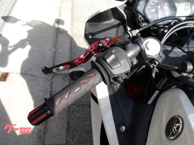 ヤマハ ＹＺＦ−Ｒ２５　２０１６年モデル　アクラボサイレンサー　インジェクション　水冷２気筒エンジン搭載 写真39