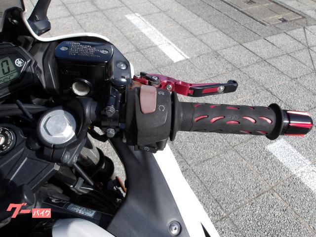 ヤマハ ＹＺＦ−Ｒ２５　２０１６年モデル　アクラボサイレンサー　インジェクション　水冷２気筒エンジン搭載 写真40