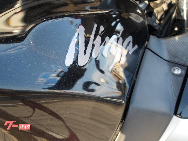 カワサキ Ｎｉｎｊａ　４００　２０１８年モデル　インジェクション　水冷２気筒エンジン搭載 写真8