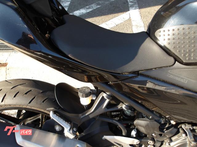 カワサキ Ｎｉｎｊａ　４００　２０１８年モデル　インジェクション　水冷２気筒エンジン搭載 写真11