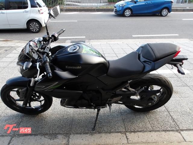 カワサキ Ｚ２５０　２０１３年モデル　インジェクション　水冷２気筒エンジン搭載 写真3