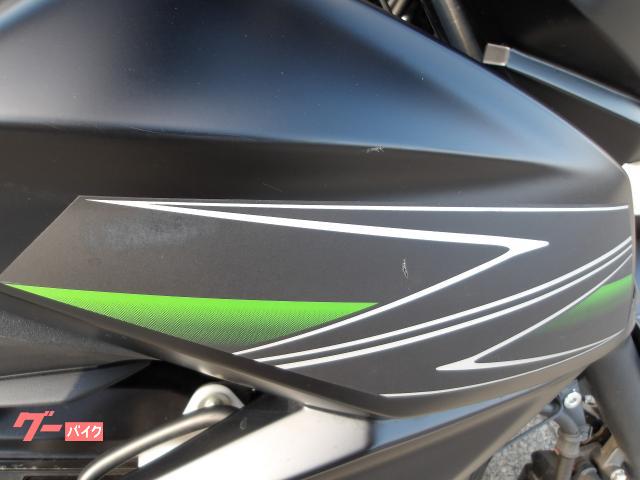 カワサキ Ｚ２５０　２０１３年モデル　インジェクション　水冷２気筒エンジン搭載 写真8
