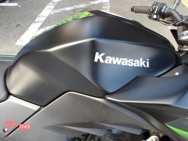 カワサキ Ｚ２５０　２０１３年モデル　インジェクション　水冷２気筒エンジン搭載 写真9