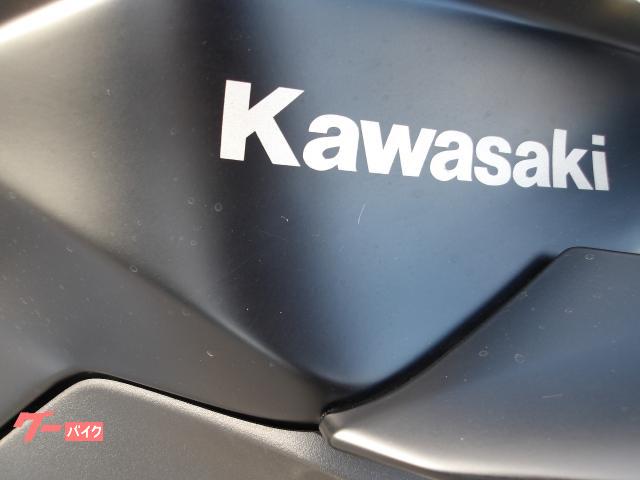 カワサキ Ｚ２５０　２０１３年モデル　インジェクション　水冷２気筒エンジン搭載 写真10