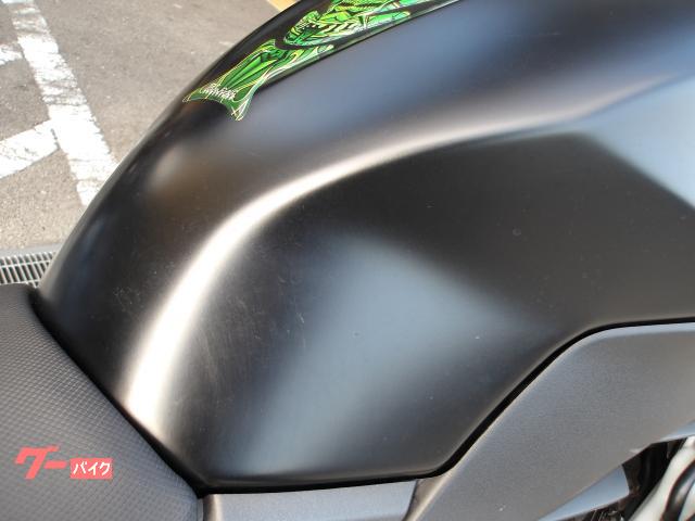 カワサキ Ｚ２５０　２０１３年モデル　インジェクション　水冷２気筒エンジン搭載 写真11