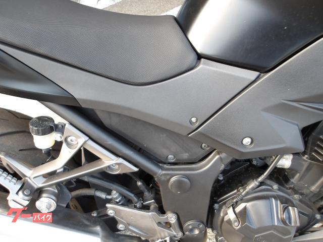 カワサキ Ｚ２５０　２０１３年モデル　インジェクション　水冷２気筒エンジン搭載 写真12