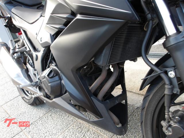 カワサキ Ｚ２５０　２０１３年モデル　インジェクション　水冷２気筒エンジン搭載 写真19