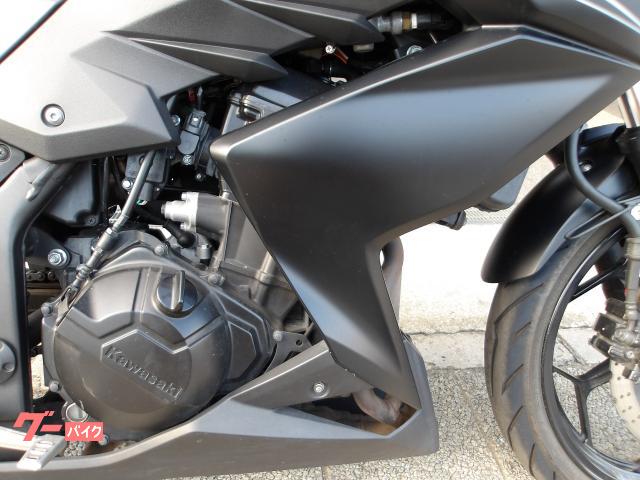 カワサキ Ｚ２５０　２０１３年モデル　インジェクション　水冷２気筒エンジン搭載 写真20