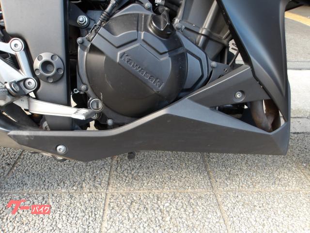 カワサキ Ｚ２５０　２０１３年モデル　インジェクション　水冷２気筒エンジン搭載 写真22
