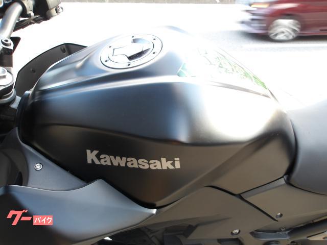 カワサキ Ｚ２５０　２０１３年モデル　インジェクション　水冷２気筒エンジン搭載 写真40