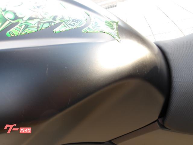 カワサキ Ｚ２５０　２０１３年モデル　インジェクション　水冷２気筒エンジン搭載 写真41