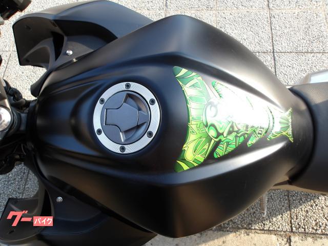 カワサキ Ｚ２５０　２０１３年モデル　インジェクション　水冷２気筒エンジン搭載 写真55