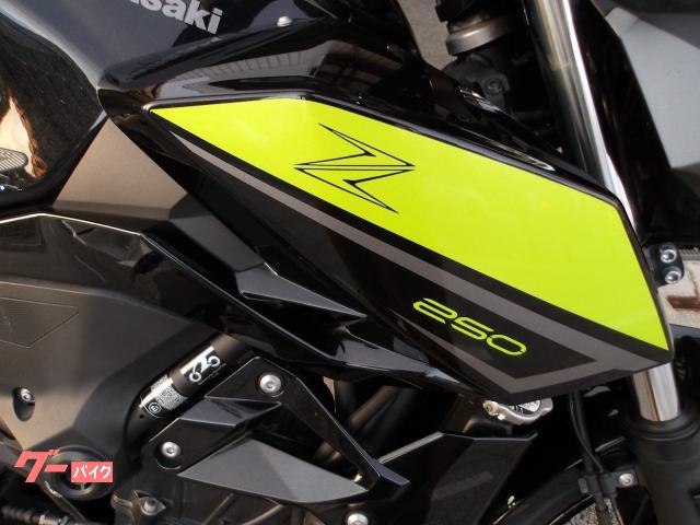 カワサキ Ｚ２５０　２０２２年モデル　ＡＢＳ　ＥＴＣ　インジェクション　水冷２気筒エンジン搭載 写真7