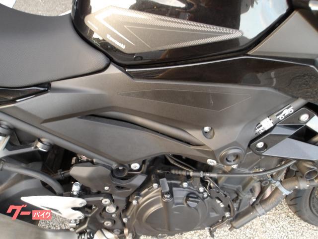 カワサキ Ｚ２５０　２０２２年モデル　ＡＢＳ　ＥＴＣ　インジェクション　水冷２気筒エンジン搭載 写真10