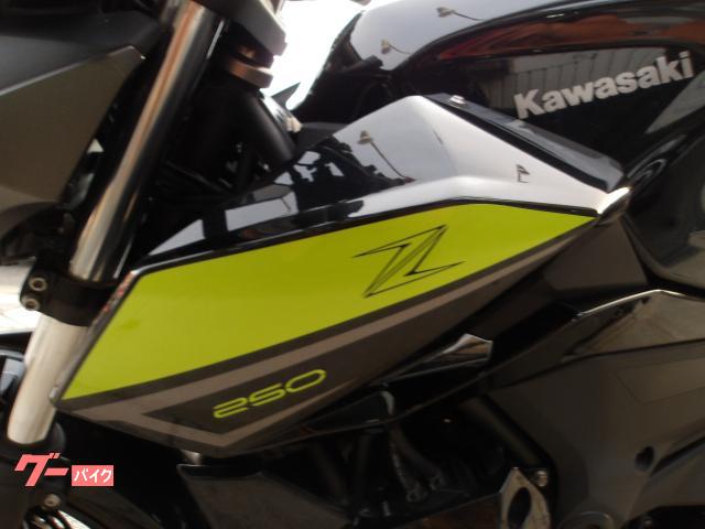 カワサキ Ｚ２５０　２０２２年モデル　ＡＢＳ　ＥＴＣ　インジェクション　水冷２気筒エンジン搭載 写真35