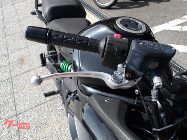 カワサキ Ｎｉｎｊａ　４００　２０１５年モデル　インジェクション　水冷２気筒エンジン搭載 写真25