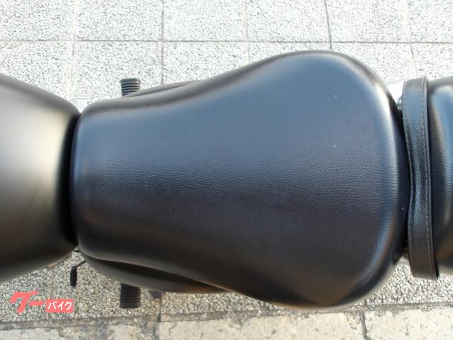 スズキ ＳＴ２５０　Ｅタイプ　２００８年モデル　インジェクション　空冷単気筒エンジン 写真54