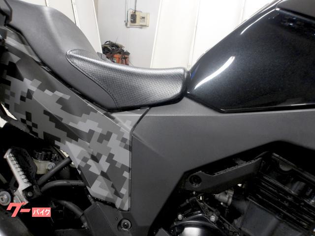 カワサキ ＶＥＲＳＹＳーＸ　２５０　ツアラー　２０１８年モデル　インジェクション　水冷２気筒エンジン搭載 写真20