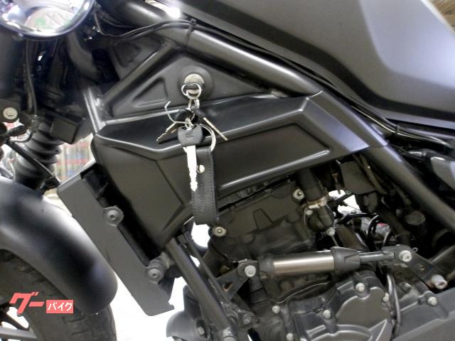ホンダ レブル２５０　２０２１年モデル　モリワキサイレンサー　ステップ　ビキニカウル 写真29